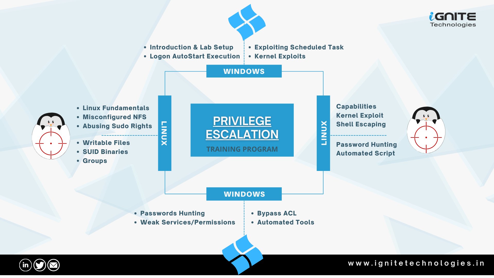 Windows & Linux Privilege Escalation Training (Online) – Your Hacking ...
